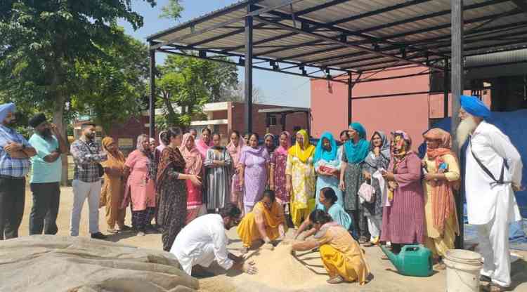 KVK, Shaheed Bhagat Singh Nagar organized vocational training on “mushroom cultivation as subsidiary occupation”