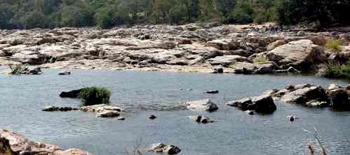 Cauvery water issue: TN Delta districts to observe bandh on Oct 11