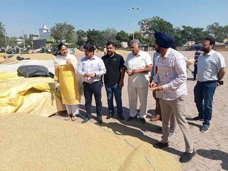 Smooth and hassle-free procurement being ensured at grain markets in Jagraon- SDM Manjeet Kaur