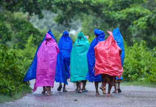 Wet spell likely to continue over Northwest India: IMD