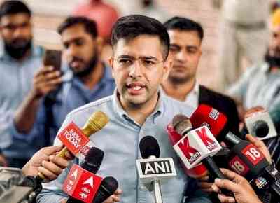 It's a fight to save Constitution not house: Raghav Chadda on Delhi HC order
