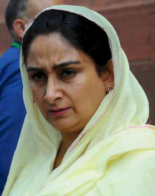 Resolve grievances of rice millers of Punjab, Harsimrat tells Goyal