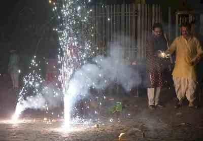 Environmentalists irked over relaxation of decibel limits for firecrackers in West Bengal