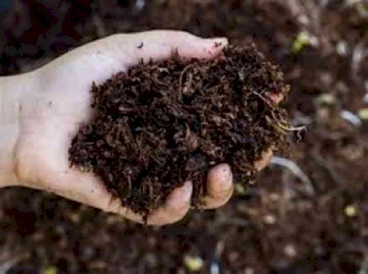 Union Cabinet clears fertiliser subsidy worth Rs 22,000 cr: Sources