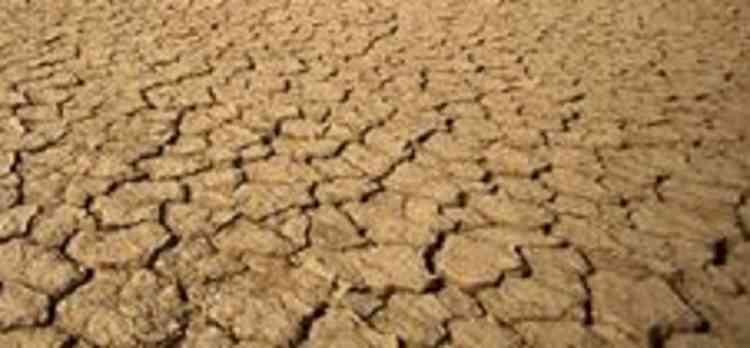 Karnataka places request for Rs 17,901 crore drought relief package with Centre