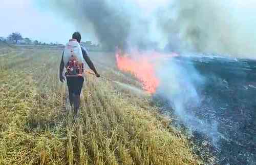 Over 200 farmers in Haryana participate to end stubble burning