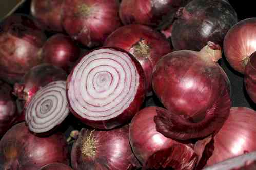 Govt notifies minimum export price of $800 per metric tonne on onion