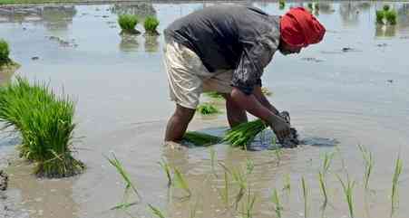 Farmers to get payment of pulses, oilseeds within three days