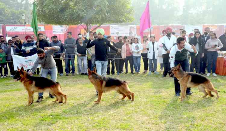 Vet Varsity to host Dog Show on Dec 3