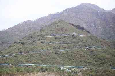 Katra, Mata Vaishno Devi shrine township gets massive afforestation