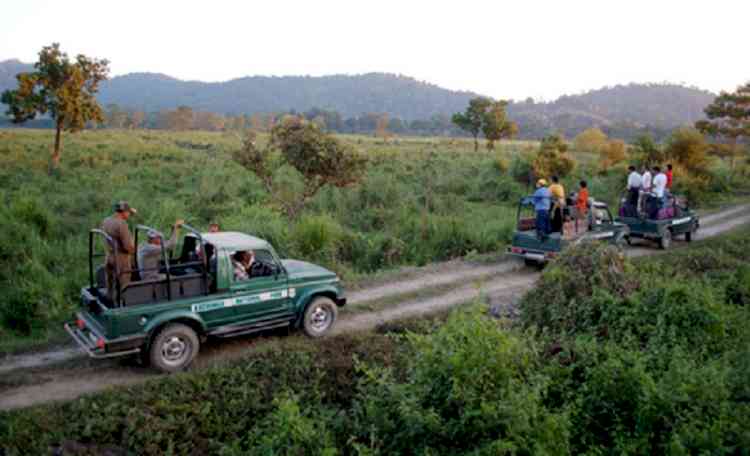 Kaziranga elevated corridor likely to get Centre’s nod soon