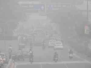 'To be choked till death,' netizens slam Kejriwal over rising pollution in Delhi