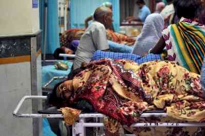 Prayagraj reports spurt in Chikungunya cases