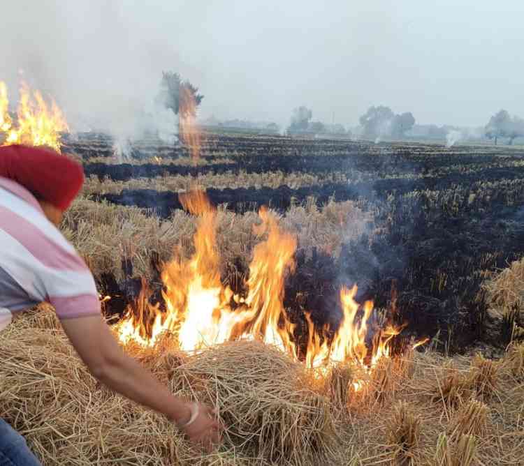 Stubble Burning: Administration imposes environmental compensation worth Rs. 2.82 lakh in 118 cases after confirmation 