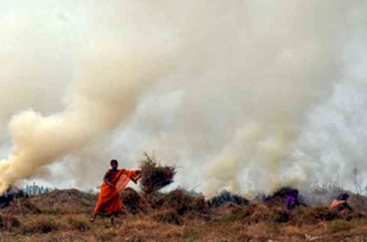 Explained: SC directions to states and Centre to stop stubble burning