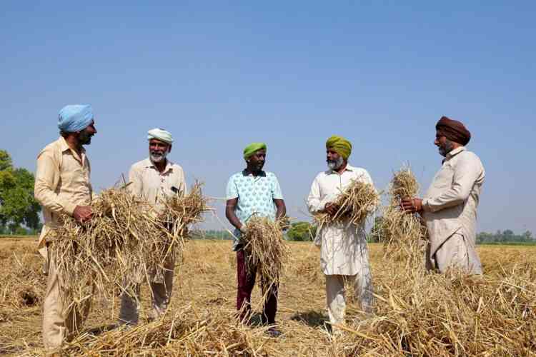 Trident Foundation Initiative “Parali Samadhan”: A lifeline for farmers and the environment