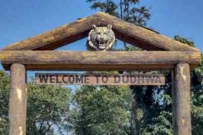 Dudhwa Tiger Reserve reopens for season with reduced tariff