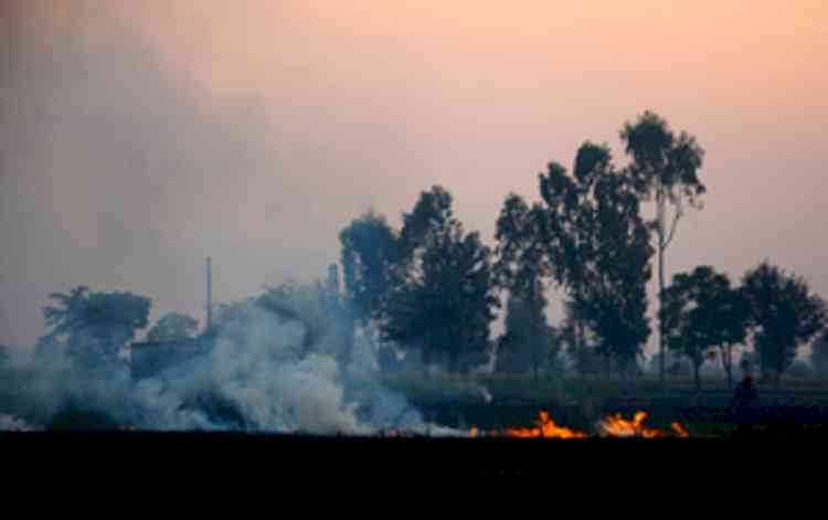 Punjab declares red alert to minimise stubble burning