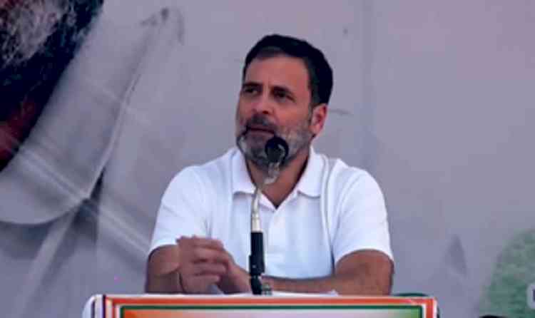 Congress storm in MP will wipe out BJP, says Rahul
