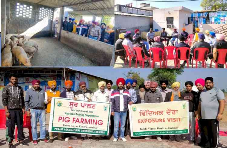 VOCATIONAL TRAINING COURSE ON “PIG FARMING” CONDUCTED AT KVK AMRITSAR