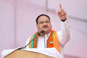 Nadda urges people in MP, Chhattisgarh to vote in large numbers