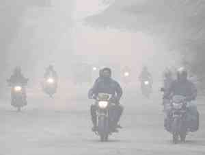 No respite, Delhi's AQI continues in 'severe' category