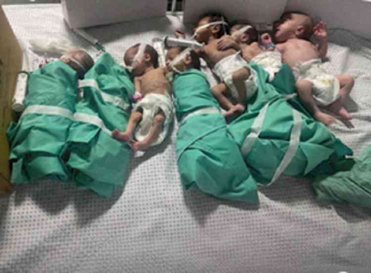 Another premature baby dies in Gaza's Al-Shifa Hospital, total reaches 5