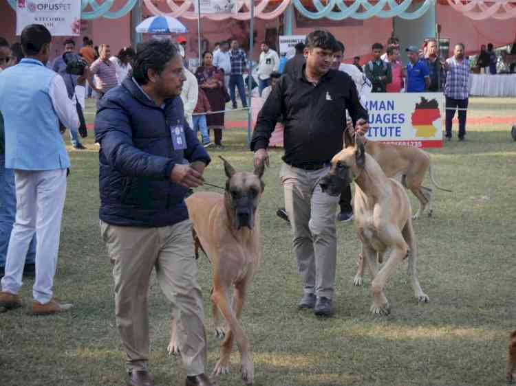 Mega Dog Show concludes In Panchkula