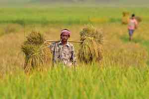 UP govt's WINDS in every tehsil headquarters to help farmers