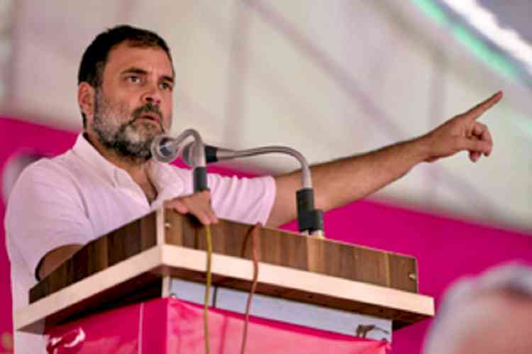 Rajasthan's Chiranjeevi Yojana to be India's largest health protection scheme: Rahul 