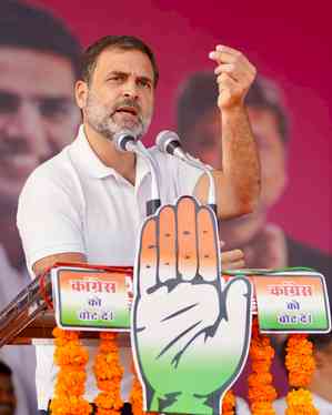 Rajasthan polls: Cong addresses over 30 rallies in 20 days