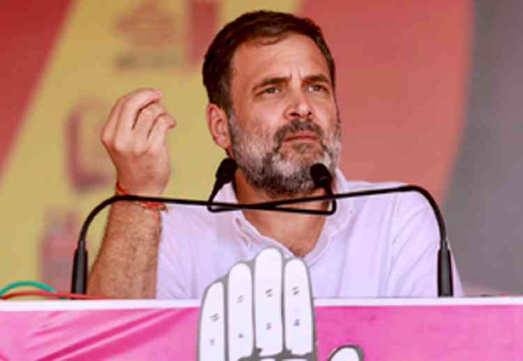 Cong's guarantees in Rajasthan have solution to every problem, says Rahul