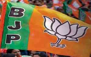 As early trends favour BJP in two states, celebrations begin in Delhi