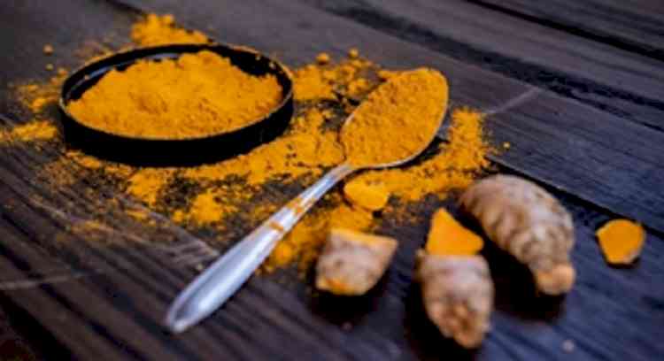 GI tag to Meghalaya's Lakadong turmeric will help farmers, says minister