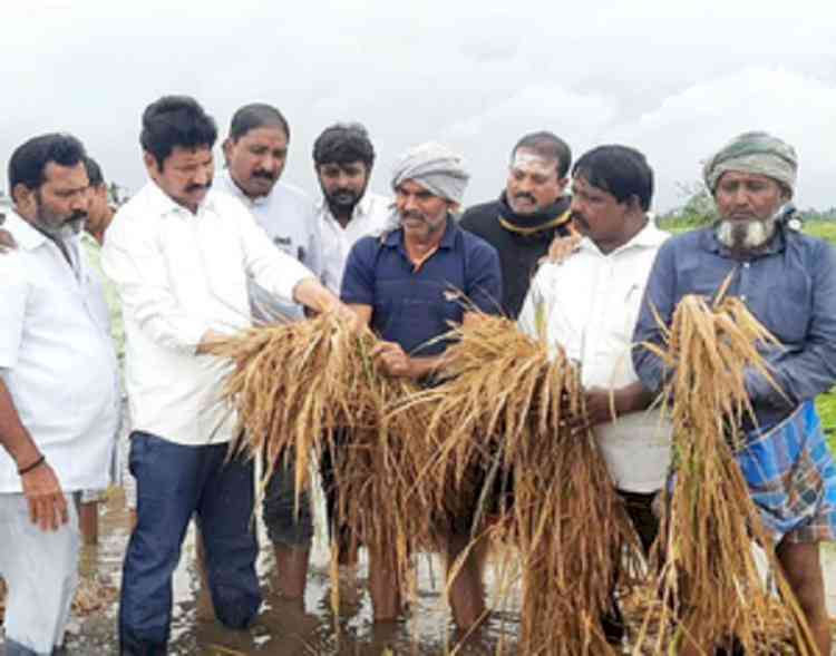 Cyclone causes extensive damage to crops in Andhra Pradesh