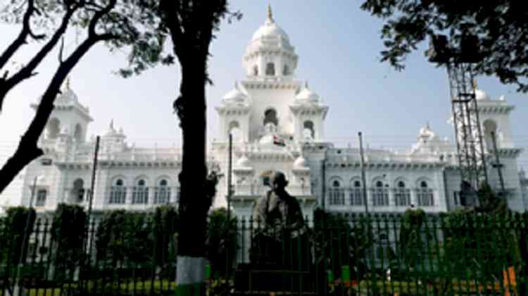 15 doctors in new Telangana Assembly