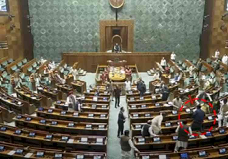 Two men jump from visitor's gallery in Lok Sabha, lit smoke sticks, say MPs