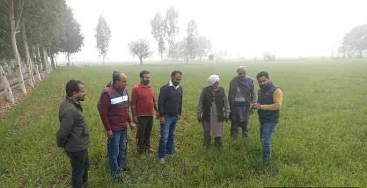 PAU scientists assess crop conditions in Moga and Muktsar Sahib districts