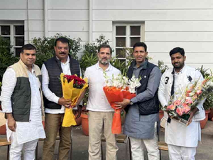 Rahul Gandhi meets newly appointed MP Congress Chief, CLP & deputy leader