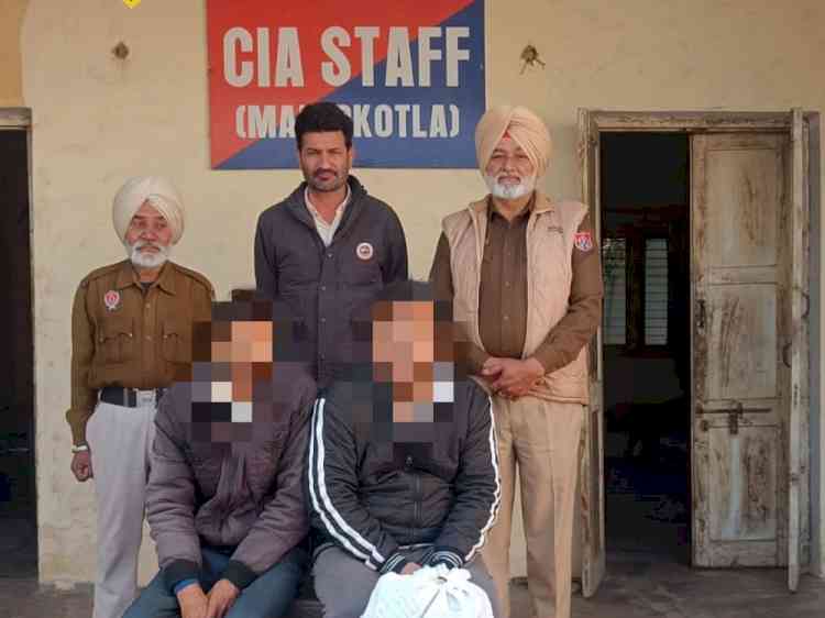 Malerkotla Police bust inter-state drug racket; two paddlers held