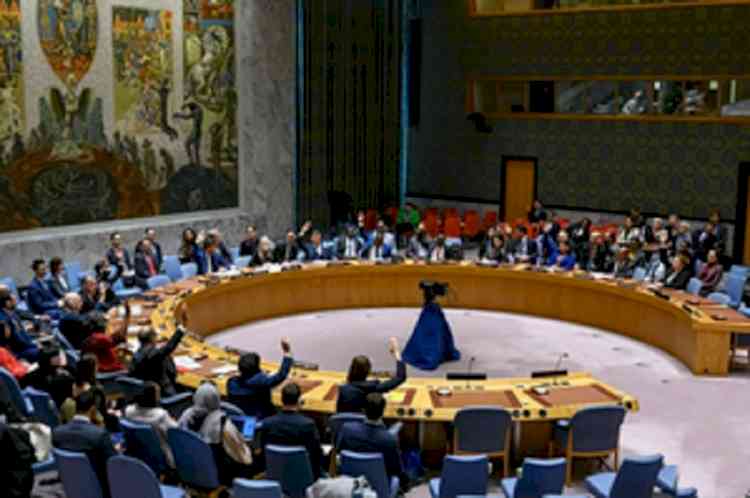 UNSC vote on Gaza resolution again delayed until Wednesday