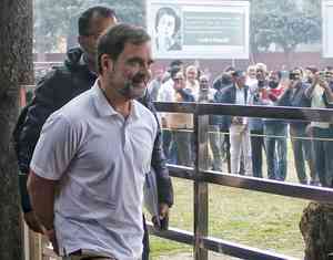 Delhi HC urges swift decision from EC on Rahul Gandhi's 'pickpocket' jibe at PM