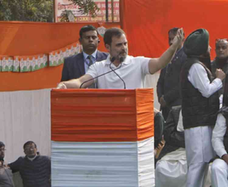 All BJP MPs ran away during Parliament security breach: Rahul Gandhi