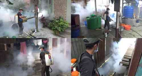 Global dengue surge sparks concern as cases top 5 million in 2023