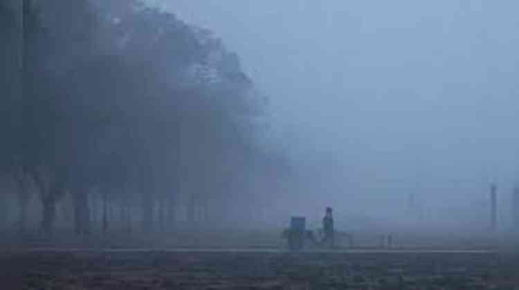 Dense to very dense fog over Northwest, parts of adjoining Central India: IMD