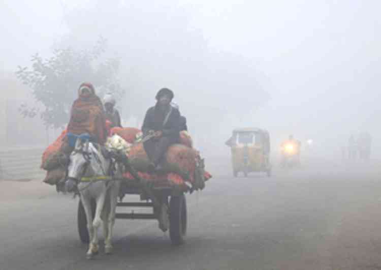 NHAI steps up safety drive on highways as fog cuts visibility 