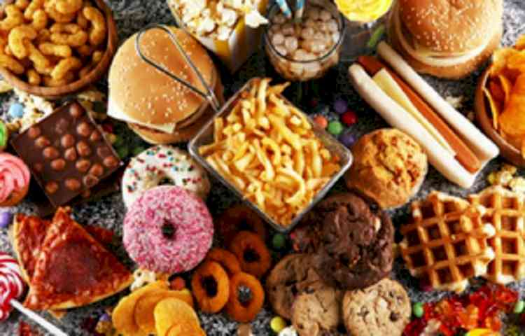 High-fat diets can impair immune, intestinal & brain health: Study