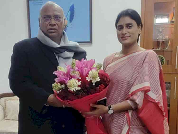 Ready to take any responsibility, says Sharmila after meeting Kharge
