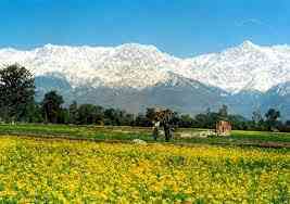 Shanta Kumar advocates strategic planning for Palampur's Tourism Village