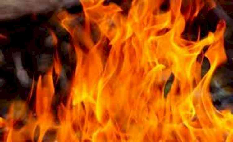 Fire breaks out in Delhi forest area near flyover